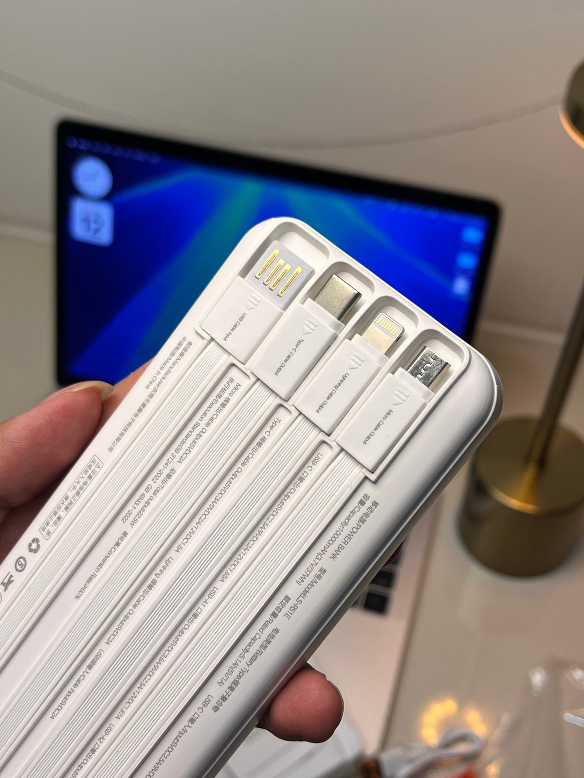 LEISE LS-R51E 10000mAh 22.5W power bank with built-in cables – product image